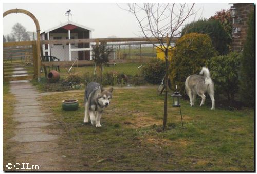 Aleshanee 2-2009 001.jpg